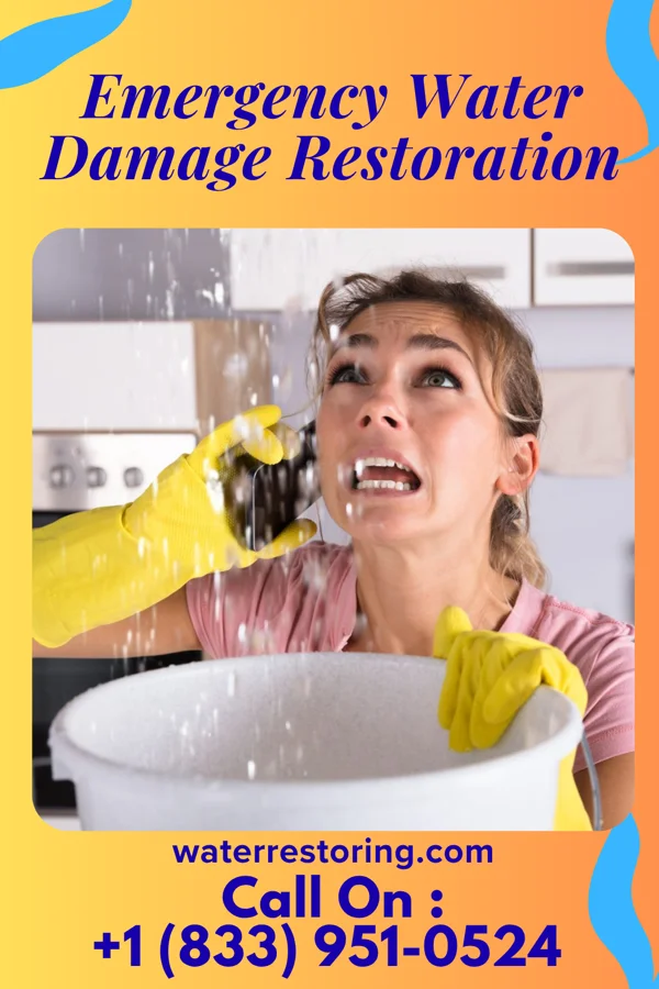 Emergency Water Damage Restoration in Frazee, MN