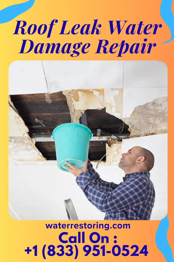 Roof Leak Water Damage Repair in Frazee, MN